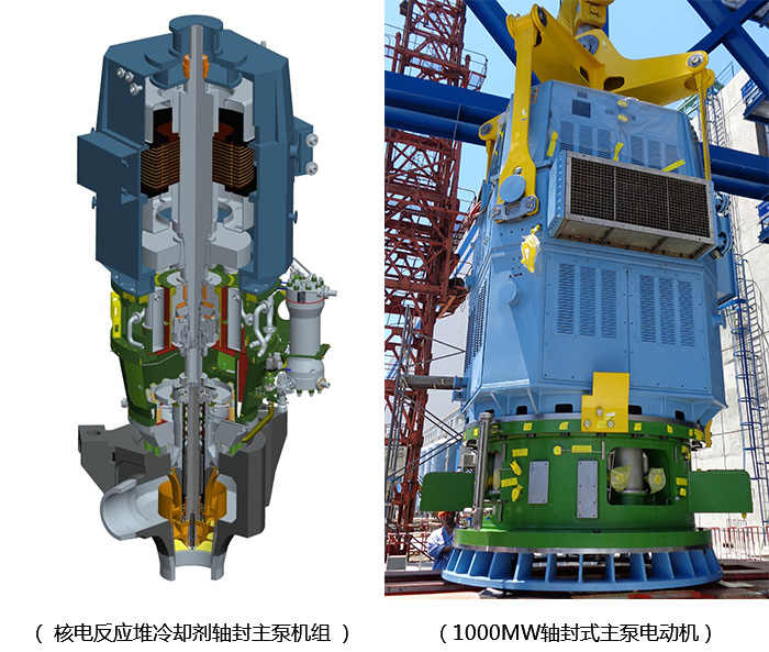 ed_1734160618224870.jpg 123.jpg